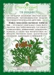 Масло туи (мини-флакон с капельницей для закапывания в нос)