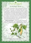 Мазь Дегтярная (при микозах, лишаях, демодекозе)