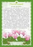 Масло цикламена (при насморке, гайморите, флакон с капельницей)