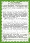 Масло цикламена (при насморке, гайморите, флакон с капельницей)