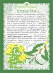 Мазь Зверобойная с эвкалиптом  (при насморке, простуде, кашле)