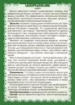 Масло эвкалипта (мини-флакон с капельницей для закапывания в нос)