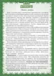 Мазь Маклюры (при грыжах, опухолях, артрозе, пяточных шпорах)