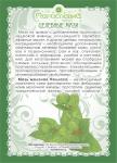 Мазь Молочая Палласа (при аденоме, простатите, узловой мастопатии)