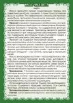 Масло эвкалипта (общий массаж)