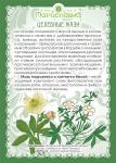 Мазь Морозника с белой лапчаткой (30 мл) (при узловом зобе, гипертиреозе)