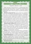 Мазь Окопника с живицей (при переломах, ранах)