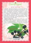 Бархат амурский (ягоды)