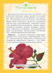 Гибискус (цветы цельные)