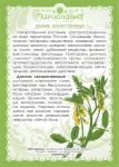 Донник лекарственный (трава)