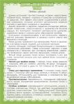 Донник лекарственный (трава)