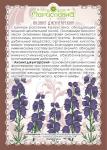 Аконит джунгарский (корень)