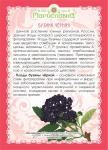 Бузина чёрная (плоды)