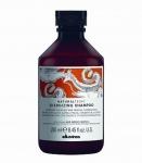 Energizing Shampoo - Энергетический шампунь 250 мл 250ml