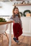 Бабочка Velvet ниагара