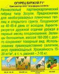 Огурец Буржуй F1 (раннеспелый,партенокарпический) 10шт цв/п 1/ (А) Италия МИНИМУМ