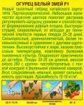 Огурец Белый змей Китайский F1 (самоопыляемый) 10шт цв/п 1/ (А) Китай