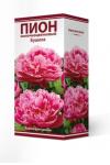 Пион молочноцветковый