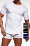 Артикул 202 AUTHENTIC AU NEW