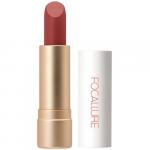 FOCALLURE Помада для губ Staymax Powder Matte Lipstick тон 10, 3 г